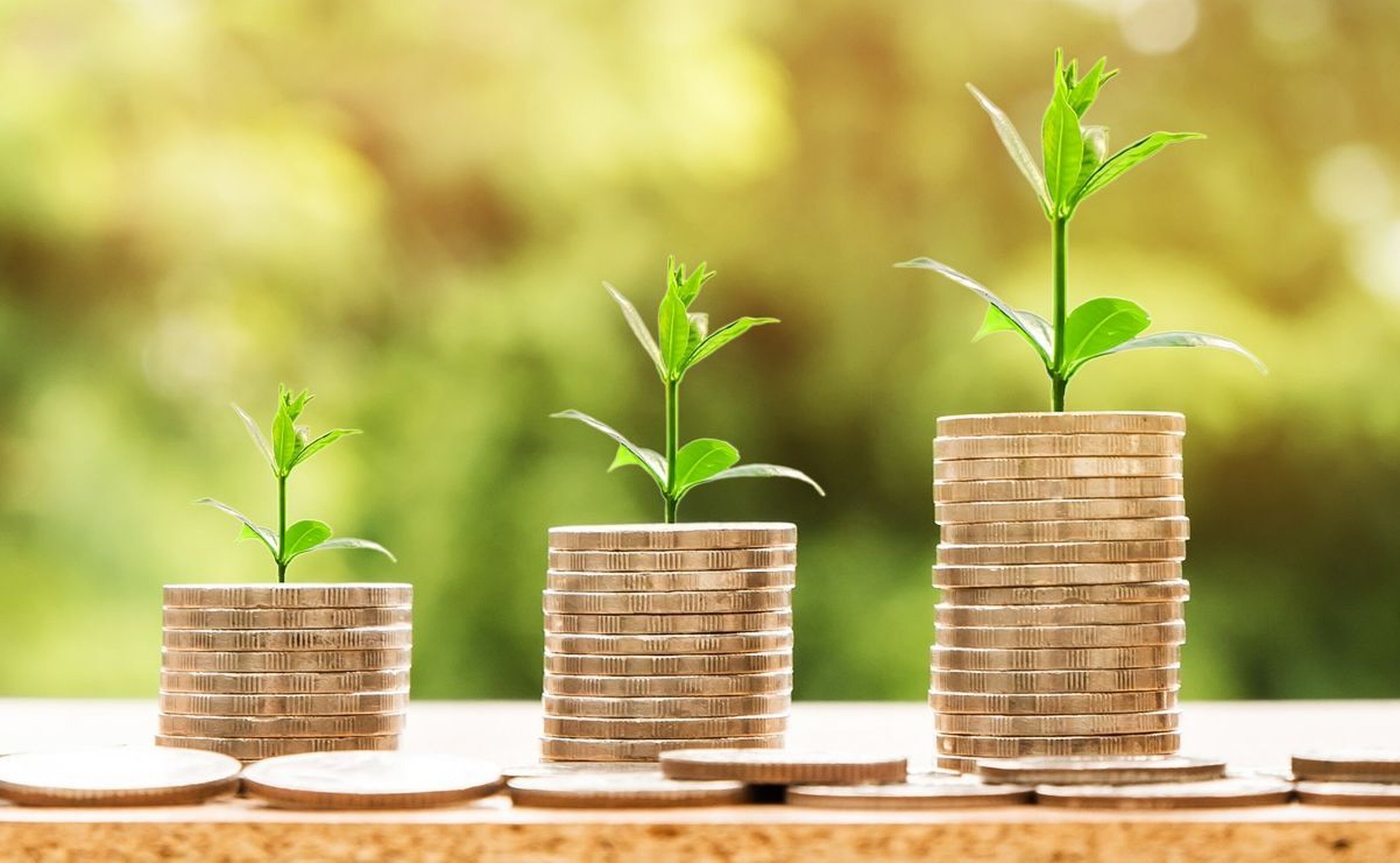 Plantjes op geld Free stock