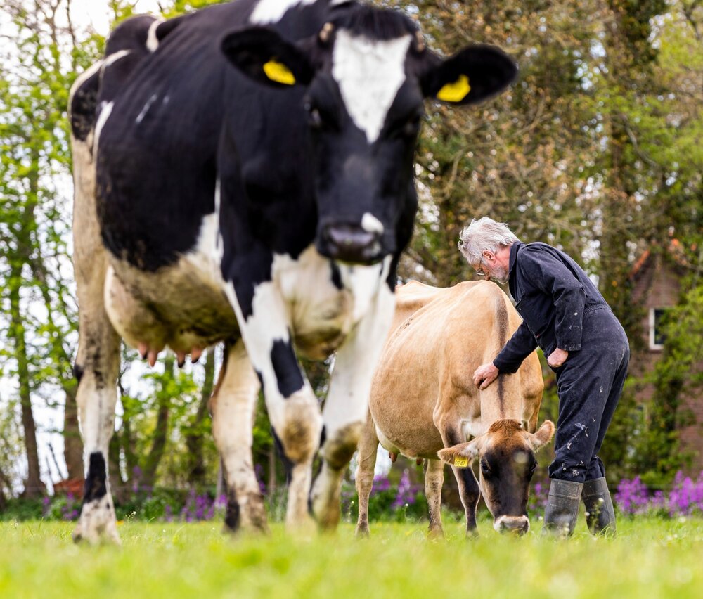 Whats App Image 2026 03 24 at 17 59 05