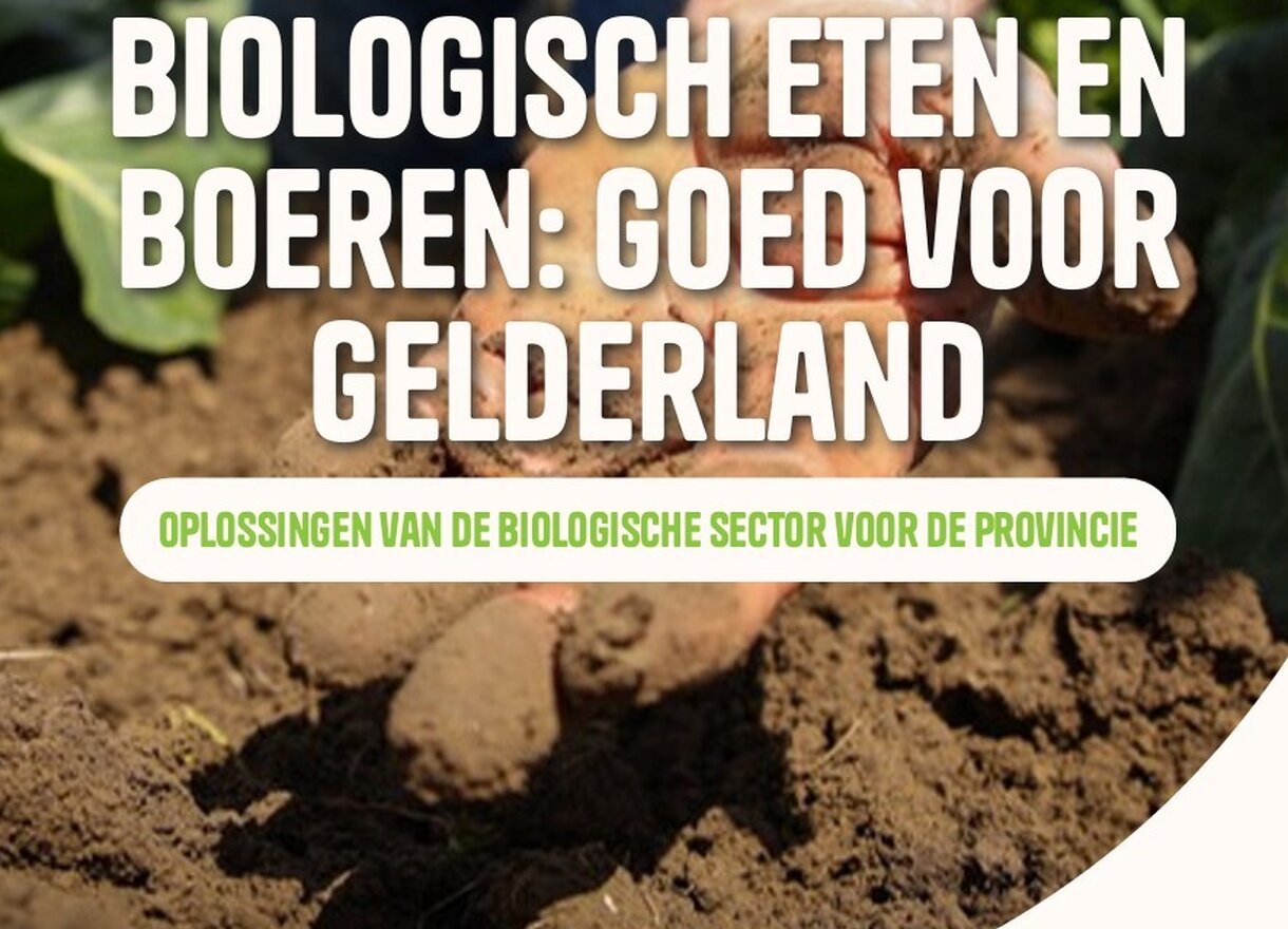 Schermafbeelding 2026 04 17 152420
