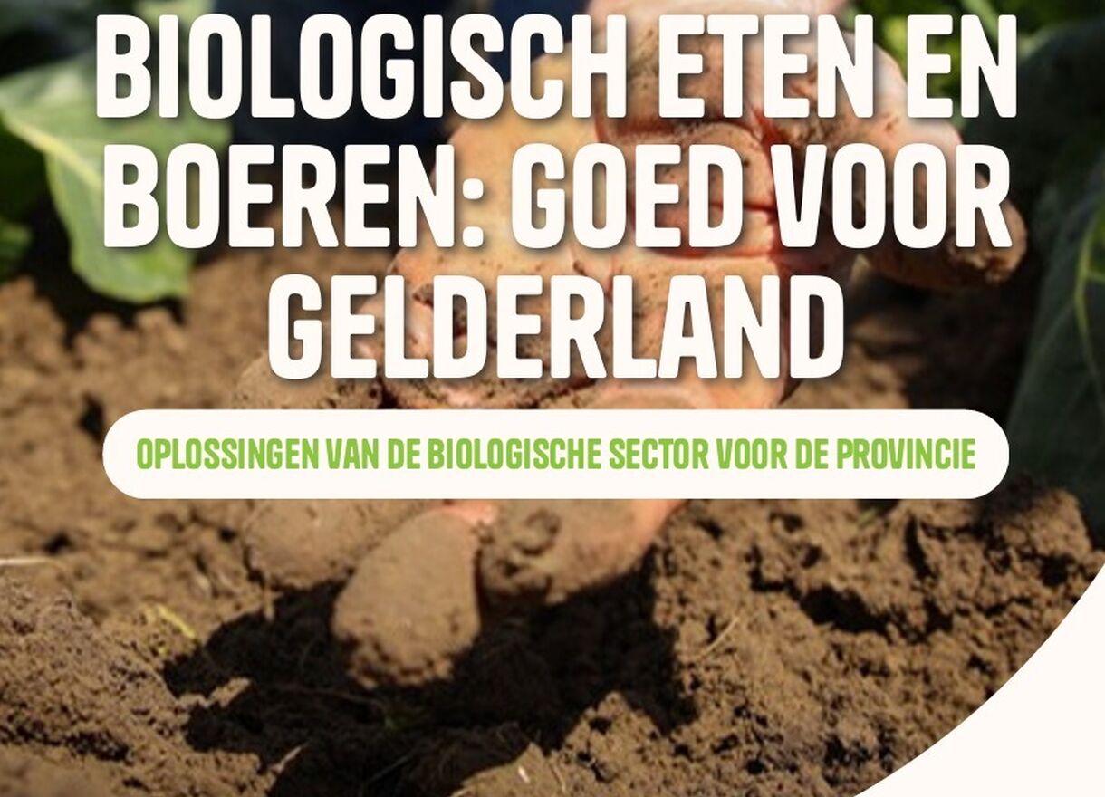 Schermafbeelding 2026 04 17 152420